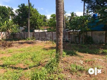 Plot Area in  Plot at Viyyur – for Sale