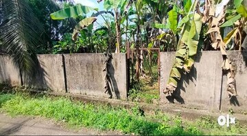 Plot Area in  Plot at Viyyur – for Sale