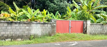 Plot Area in  Plot at Viyyur – for Sale