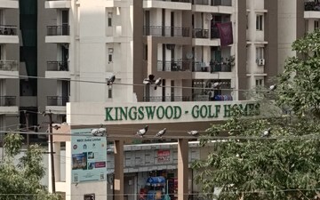 3 BHK Apartment For Rent in Amrapali Golf Homes, Sector 4, Greater Noida