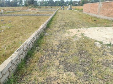  Plot For Sale in Painal
