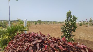  Plot – Exterior View View at Kandukur - for Sale