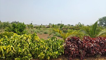  Plot For Sale in Kandukur