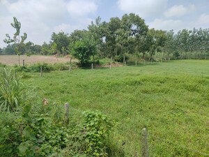  Plot – Exterior View View at Jewar - for Sale