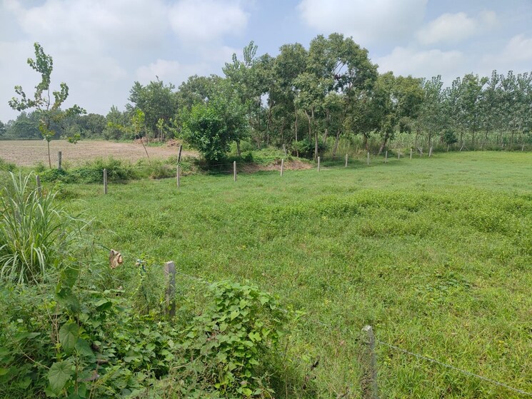 Exterior View, jewar  148 Sq.Mt. Plot In Jewar Greater Noida 8528824