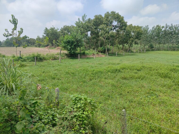 Exterior View, jewar  148 Sq.Mt. Plot In Jewar Greater Noida 8528824