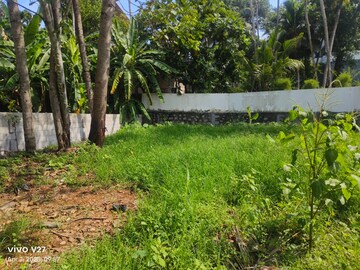   Plot at Kuravankonam – for Sale