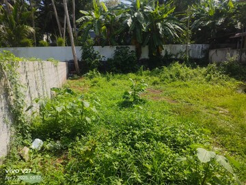   Plot at Kuravankonam – for Sale