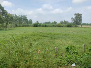  Plot – Exterior View View at Xu Iii Greater Noida - for Sale