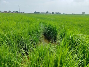  Plot – Exterior View View at Xu Iii Greater Noida - for Sale