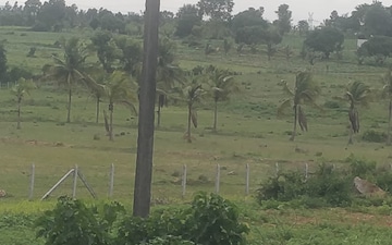 Plot For Sale in Attur Layout