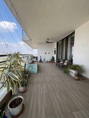 3 BHK Apartment For Rent in M3M Golf Estate, Sector 65