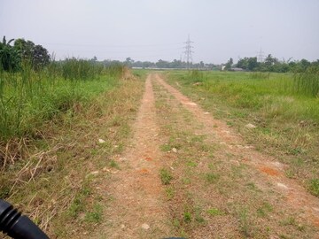  Plot For Sale in Shyamnagar