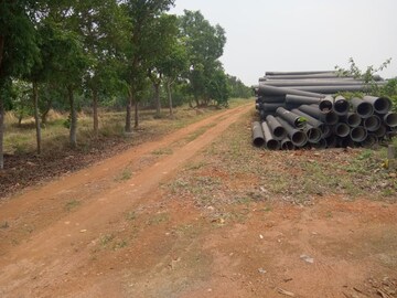 Plot Area in  Plot at Shyamnagar – for Sale