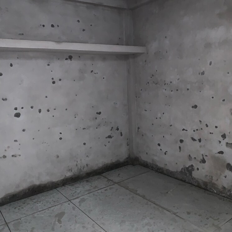 Room, talawali chanda 2 Bedroom 675 Sq.Ft. Independent House In Talawali Chanda Indore 8531536