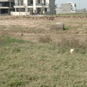 Plot Area in  Plot at Kharar Road – for Sale