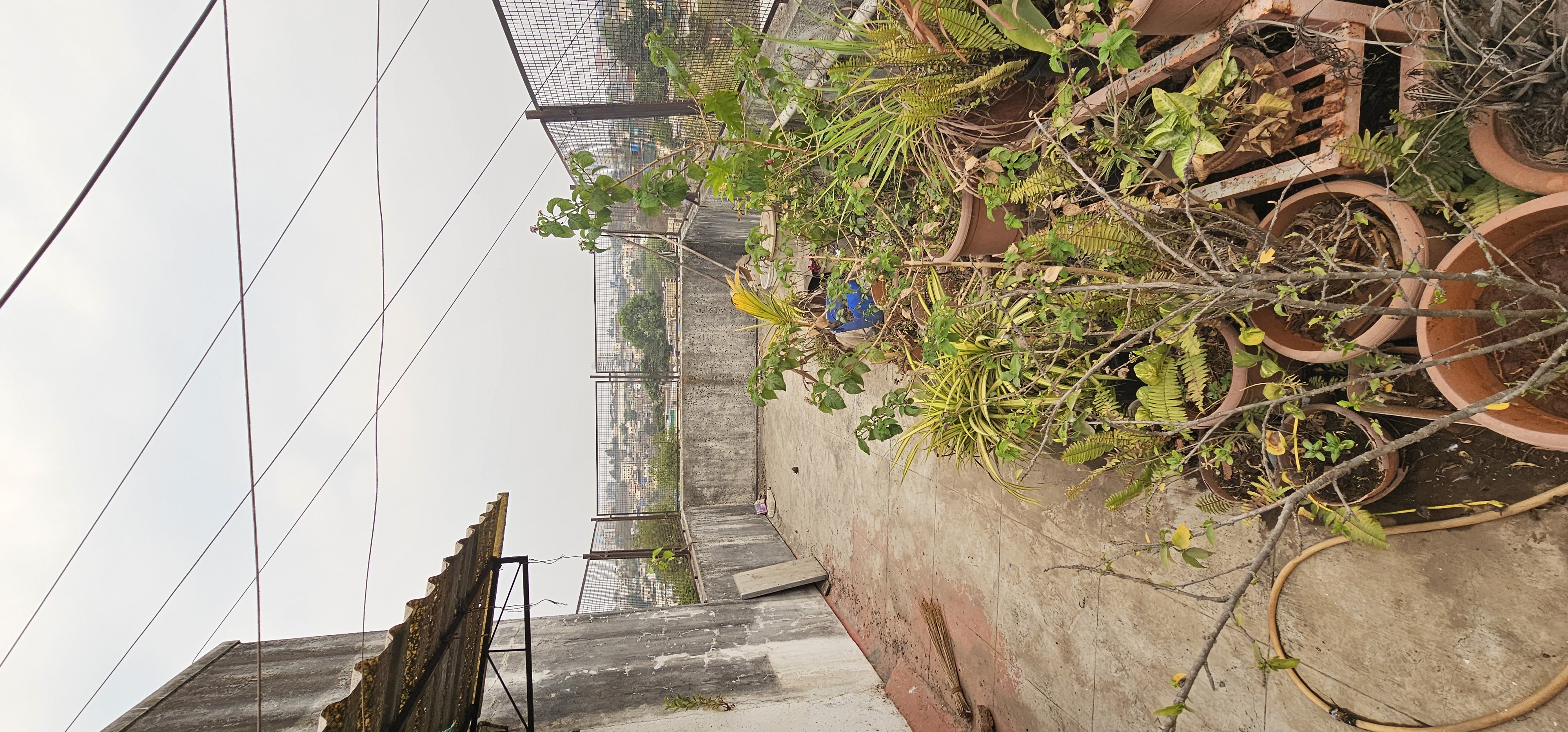 1 BHK + Pooja Room,Study Room 630 Sq.Ft. Apartment in Aditya Chintamani Nagar Phase II