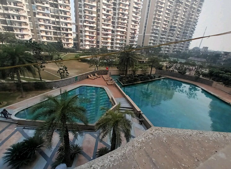 Swimming Pool, ace-city 2 Bedroom 1325 Sq.Ft. Apartment In Sector 1 Greater Noida Greater Noida 8533032