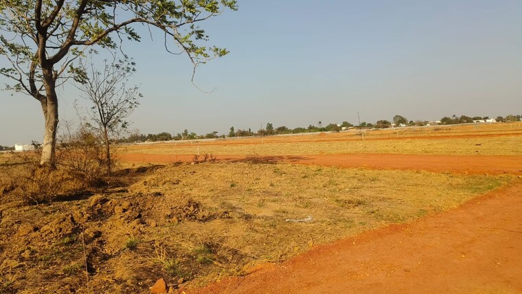 undefined, jivan vihar  1350 Sq.Ft. Plot In Jivan Vihar Raipur 8533270