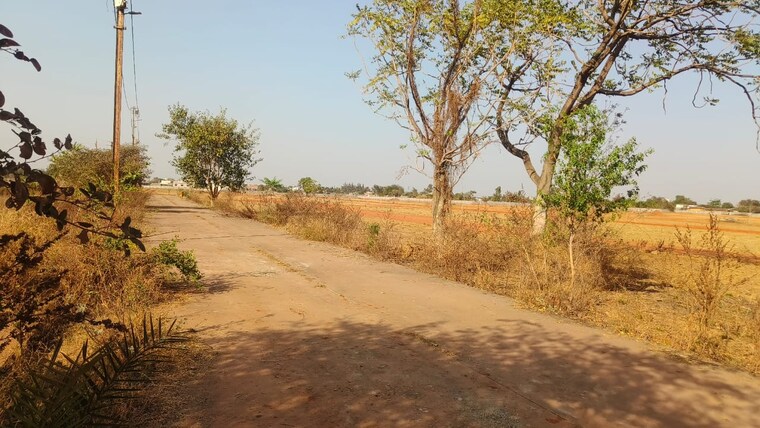 undefined, jivan vihar  1350 Sq.Ft. Plot In Jivan Vihar Raipur 8533270