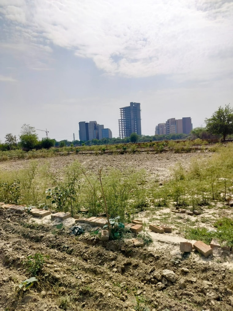 undefined, sector 27 yamuna expressway  210 Sq.Yd. Plot In Sector 27 Yamuna Expressway Greater Noida 8533495