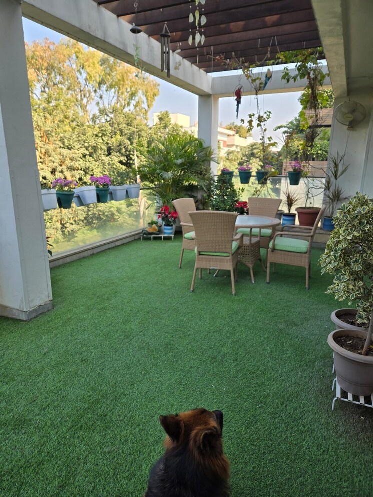 Garden, vasant vihar 4 Bedroom 600 Sq.Yd. Builder Floor In Vasant Vihar Delhi 8533485