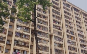 1 BHK Apartment For Rent in Redstone Saifee Park, Tarwadi