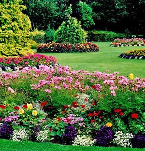  Plot – Garden View at Ringnodiya - for Sale