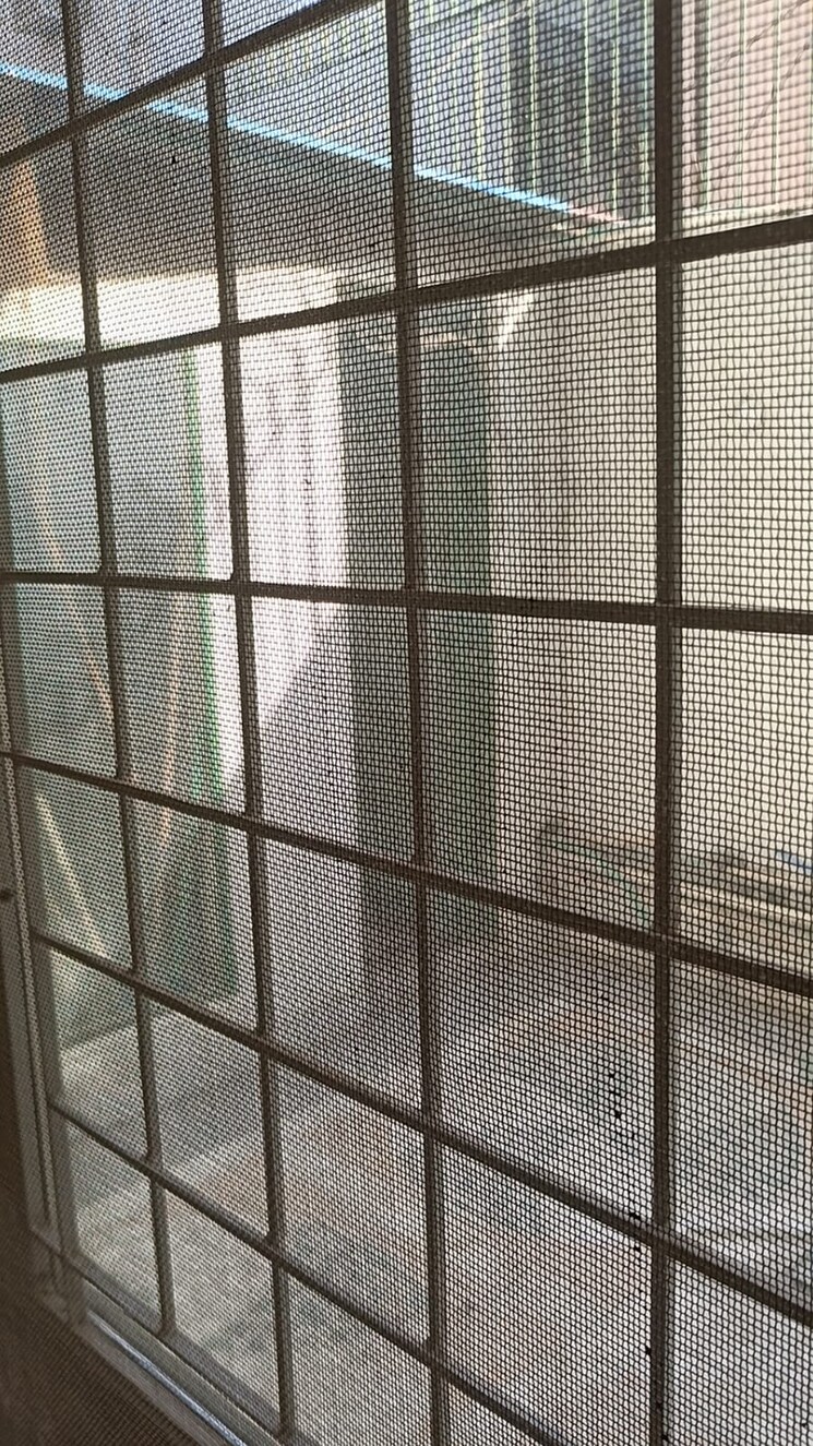 Room, vasant vihar 4 Bedroom 400 Sq.Yd. Builder Floor In Vasant Vihar Delhi 8534061