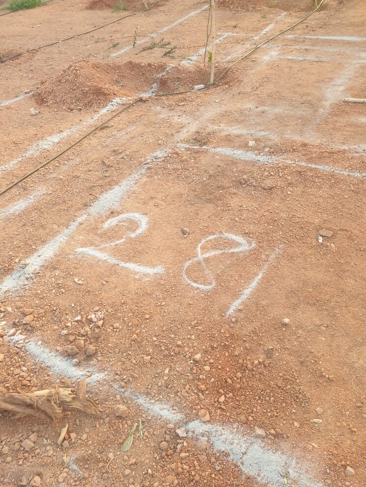 undefined, aduri-dream-valley  121 Sq.Yd. Plot In Vittyal Hyderabad 8534223