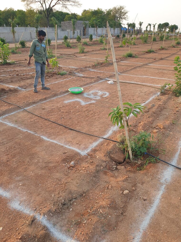 undefined, aduri-dream-valley  121 Sq.Yd. Plot In Vittyal Hyderabad 8534223