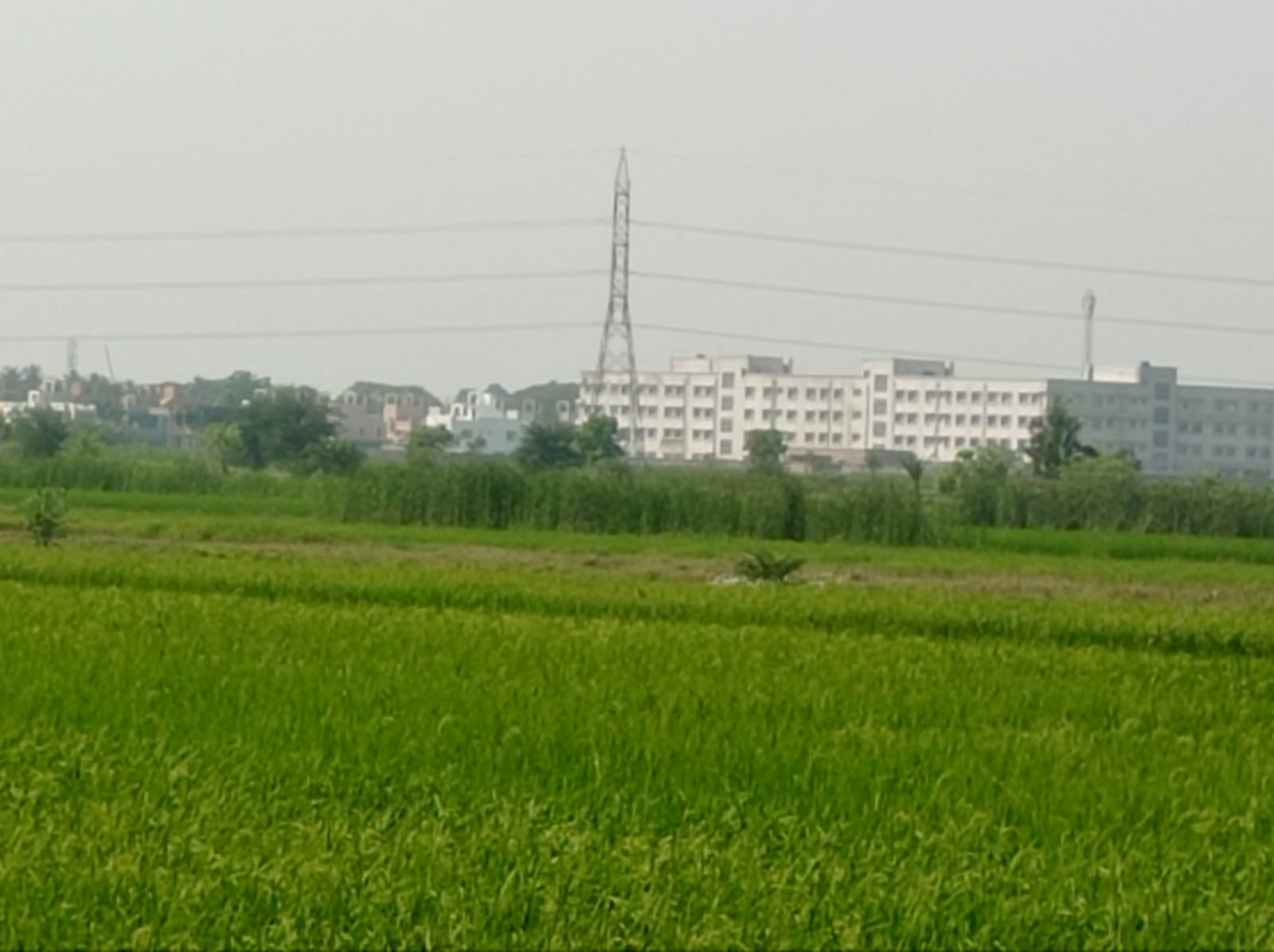 Plot For Sale in Shivolok City 