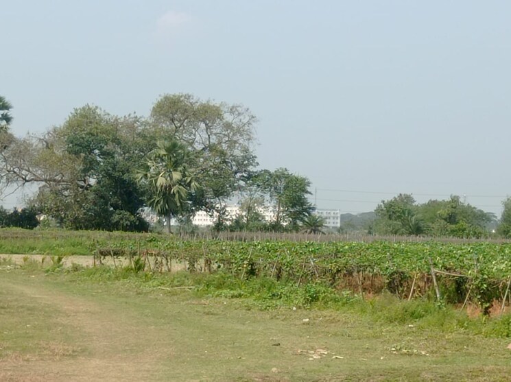 undefined, sonarpur  1690 Sq.Ft. Plot In Sonarpur Kolkata 8535030