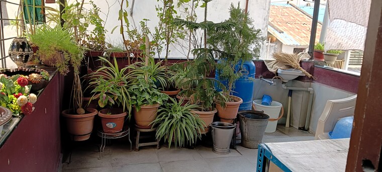 Balcony, mahal 1 Bedroom 600 Sq.Ft. Apartment In Mahal Nagpur 8534737