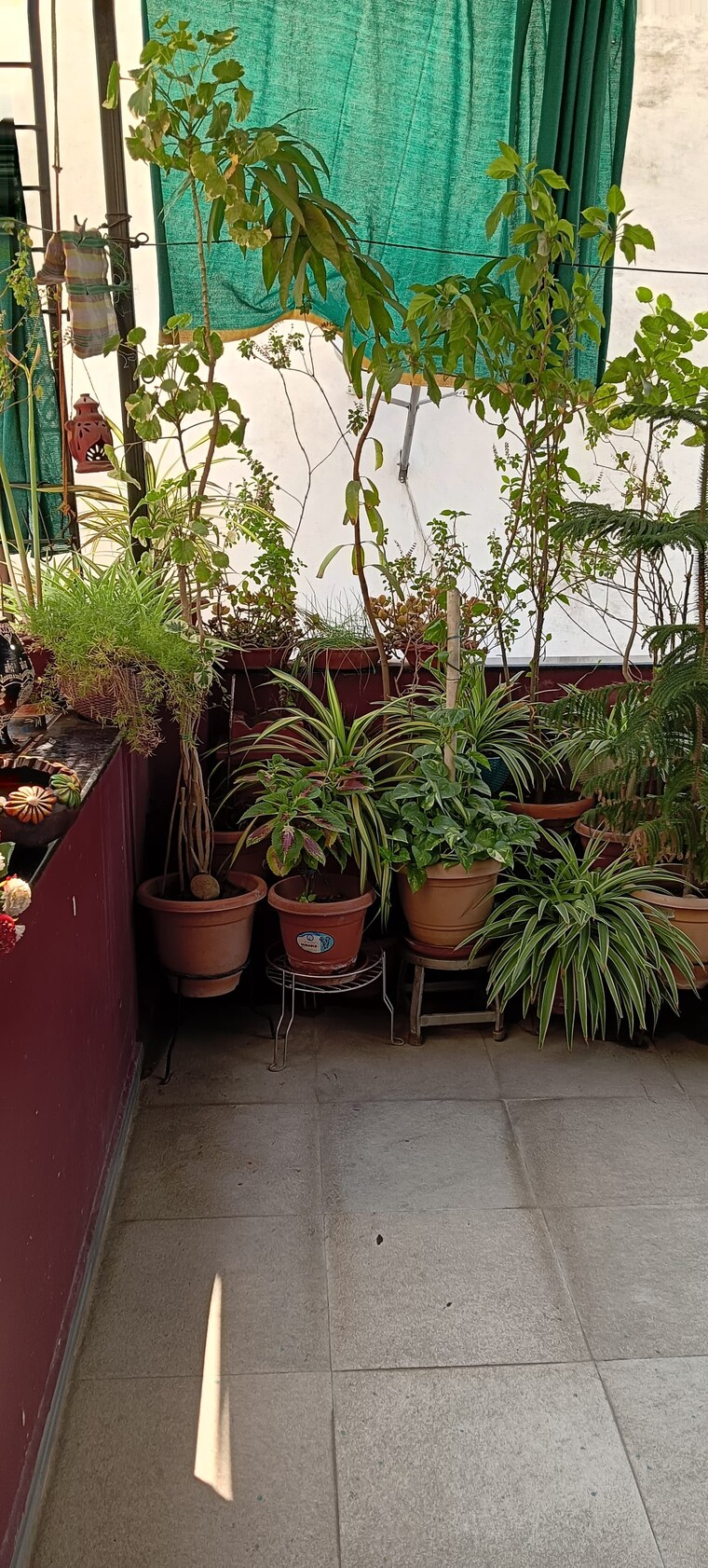 Balcony, mahal 1 Bedroom 600 Sq.Ft. Apartment In Mahal Nagpur 8534737