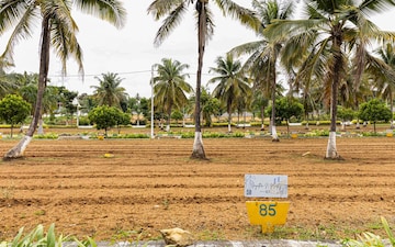Plot For Sale in Jigani