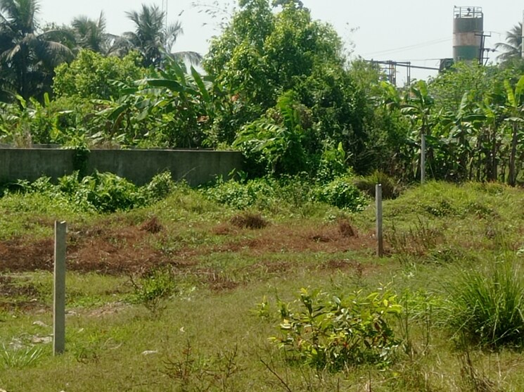 Garden, southern-park  1440 Sq.Ft. Plot In Baruipur Kolkata 8534994