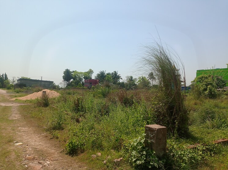 undefined, southern-park  1440 Sq.Ft. Plot In Baruipur Kolkata 8534994