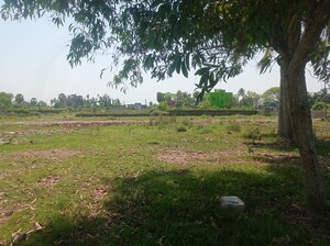 Plot Area in  Plot at Southern Park, Baruipur – for Sale