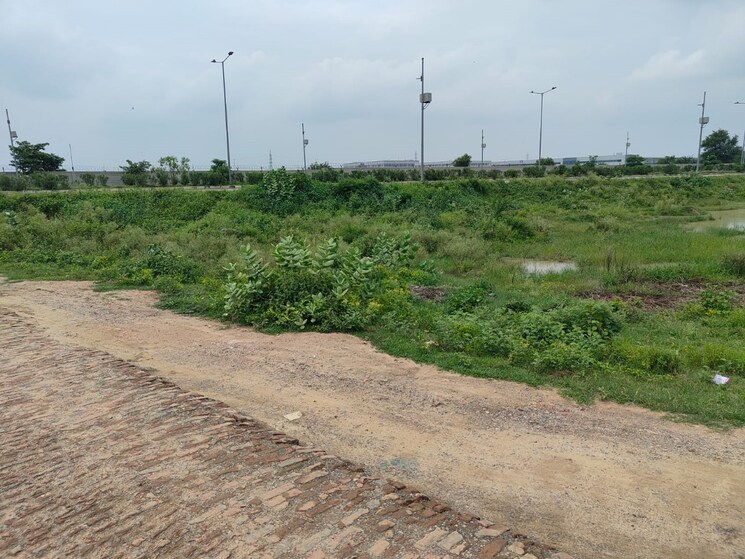 undefined, xu iii greater noida  260 Sq.Mt. Plot In Xu Iii Greater Noida Greater Noida 8535169