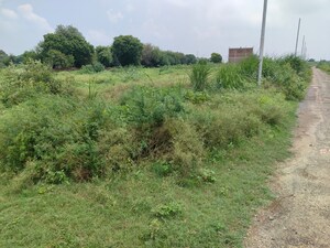 Plot Area in  Plot at Xu Iii Greater Noida – for Sale