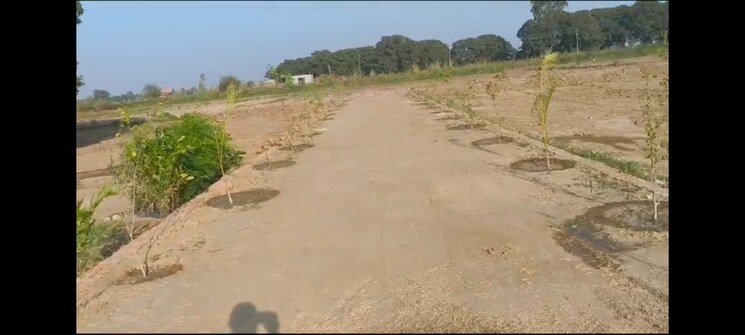 undefined, jewar  4000 Sq.Ft. Plot In Jewar Greater Noida 8537189