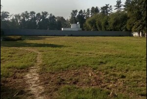 Plot Area in  Plot at Sultanpur – for Sale
