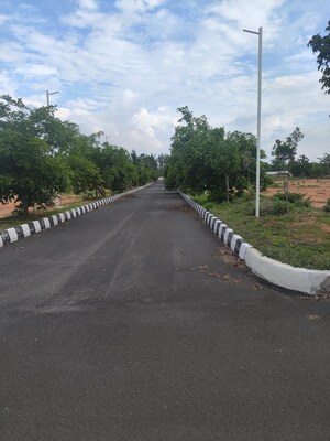  Plot For Sale in Pasumamula