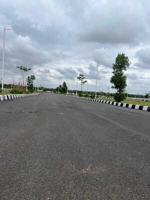  Plot – Exterior View View at Pasumamula - for Sale