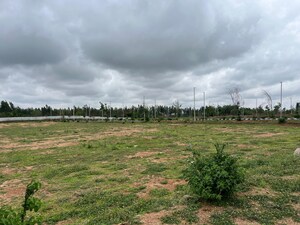  Plot For Sale in Shadnagar