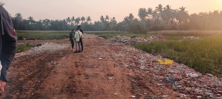 undefined, amtala  2160 Sq.Ft. Plot In Amtala Kolkata 8539036