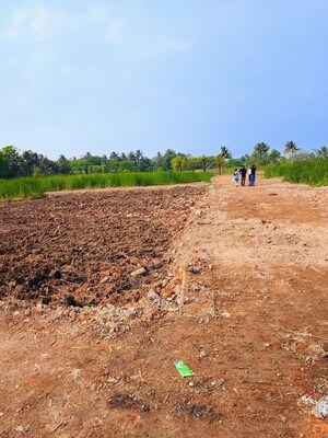 Plot Area in  Plot at Amtala – for Sale