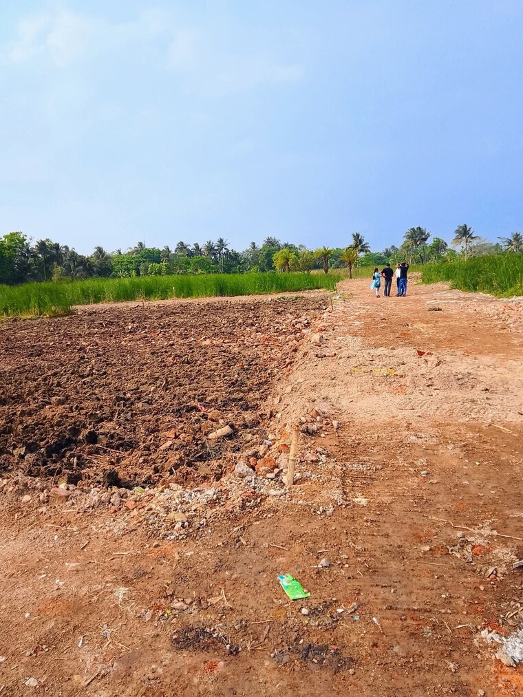 undefined, amtala  2160 Sq.Ft. Plot In Amtala Kolkata 8539036