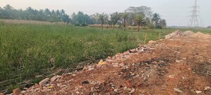 Plot Area in  Plot at Amtala – for Sale